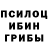 Галлюциногенные грибы Psilocybine cubensis ZloNeDremlet