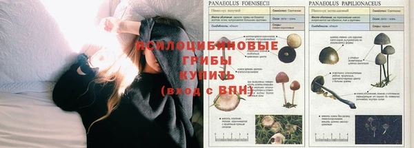 наркотики Аркадак